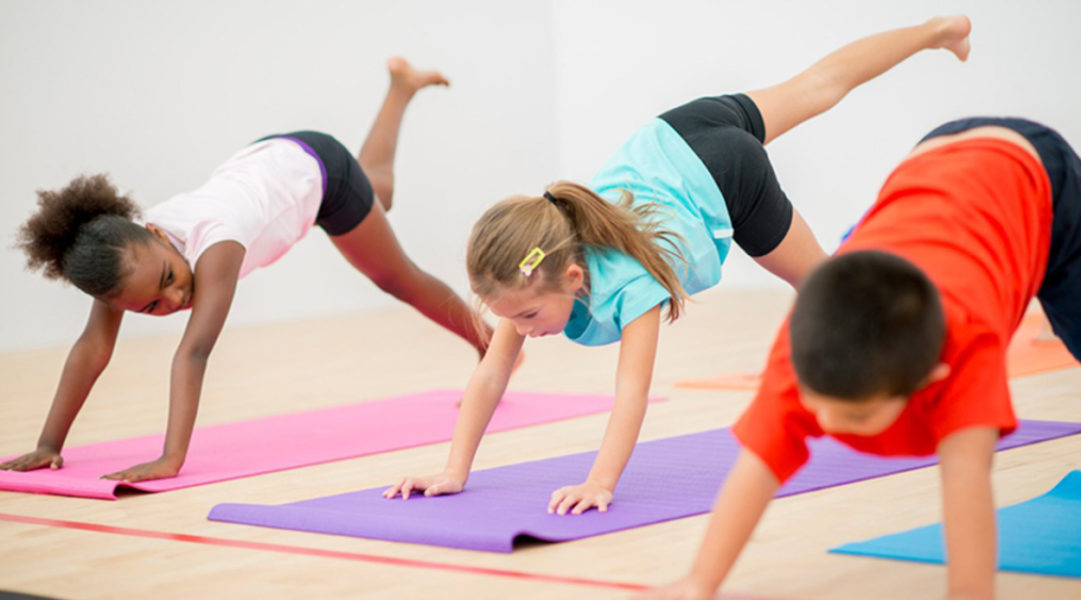 What poses are there in hatha yoga? MindYoga4U